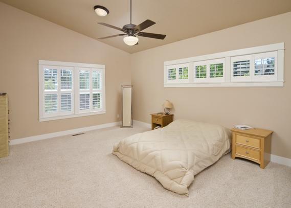 Blinds & Shutters